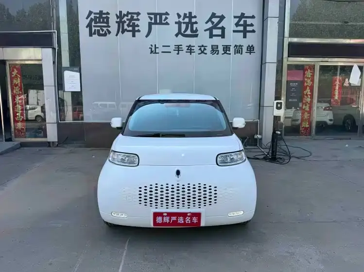 Ora White Cat, 2021