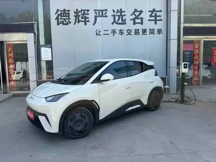 BYD Seagull, 2024