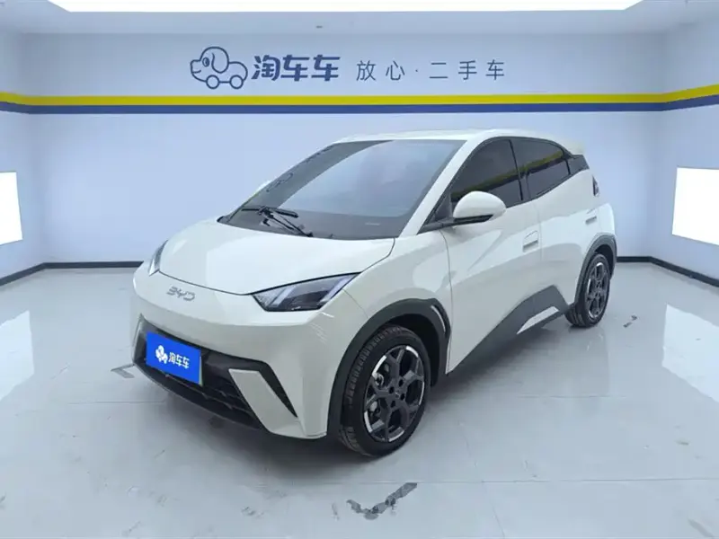 BYD Seagull, 2024
