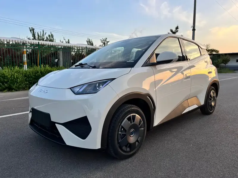 BYD Seagull, 2026