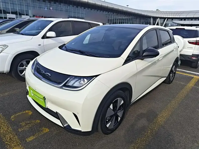 BYD Dolphin, 2024