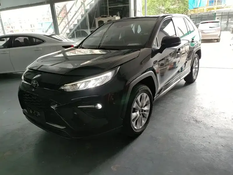 Toyota Wildlander, 2021