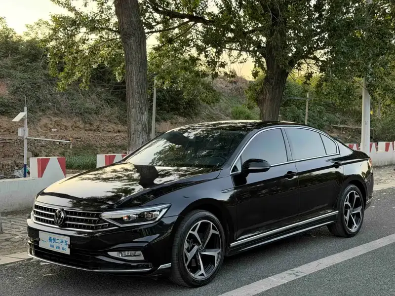 Volkswagen Magotan, 2024