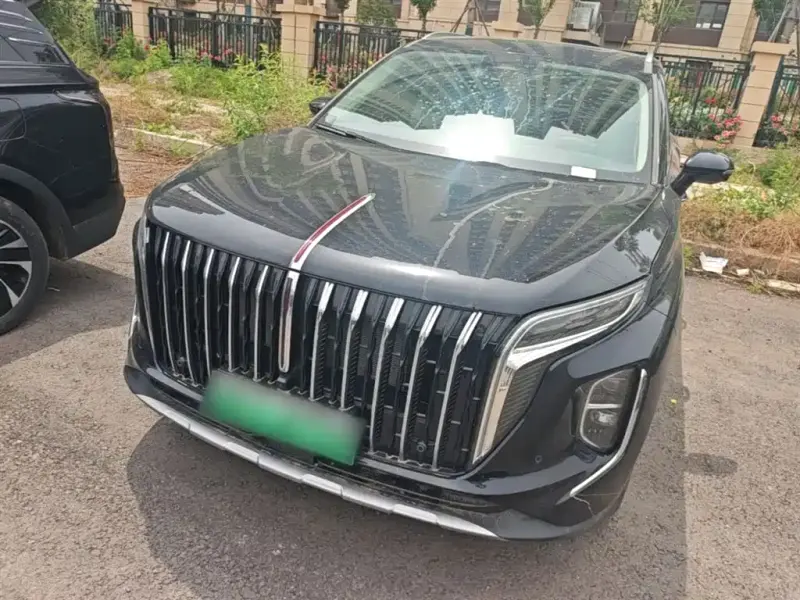 Hongqi HS7 PHEV, 2024
