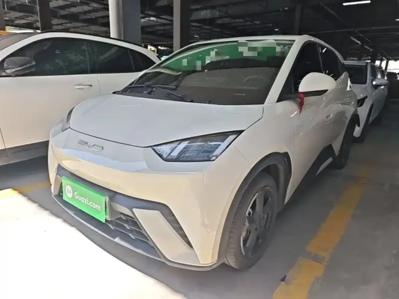 BYD Seagull, 2024