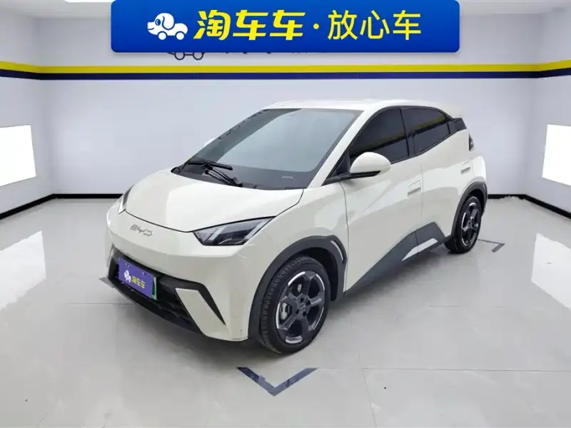 BYD Seagull, 2024