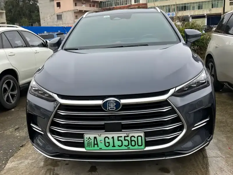 BYD Tang New Energy, 2022