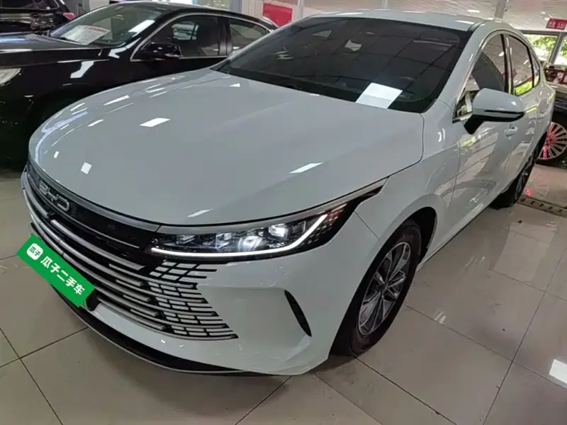 BYD Destroyer 05, 2024