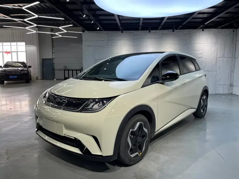 BYD Dolphin, 2023