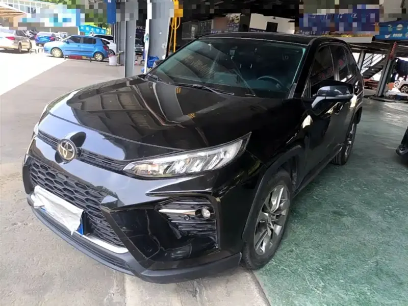 Toyota Wildlander, 2020