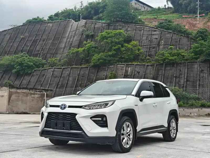 Toyota Wildlander, 2021