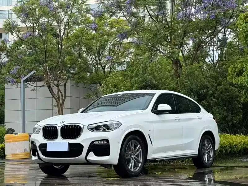 BMW X4, 2019