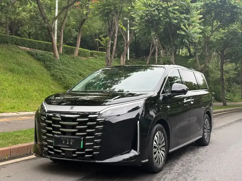 BYD Xia, 2025