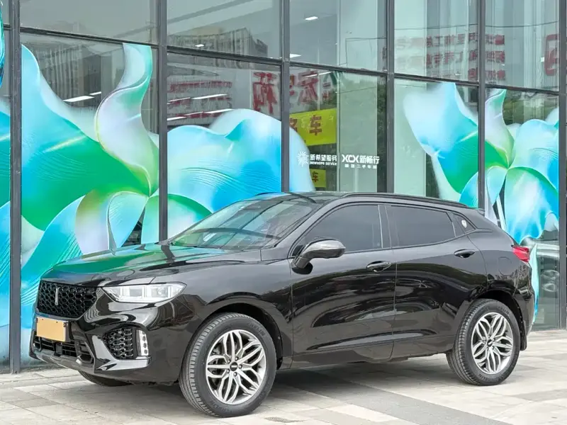Wey VV5, 2018