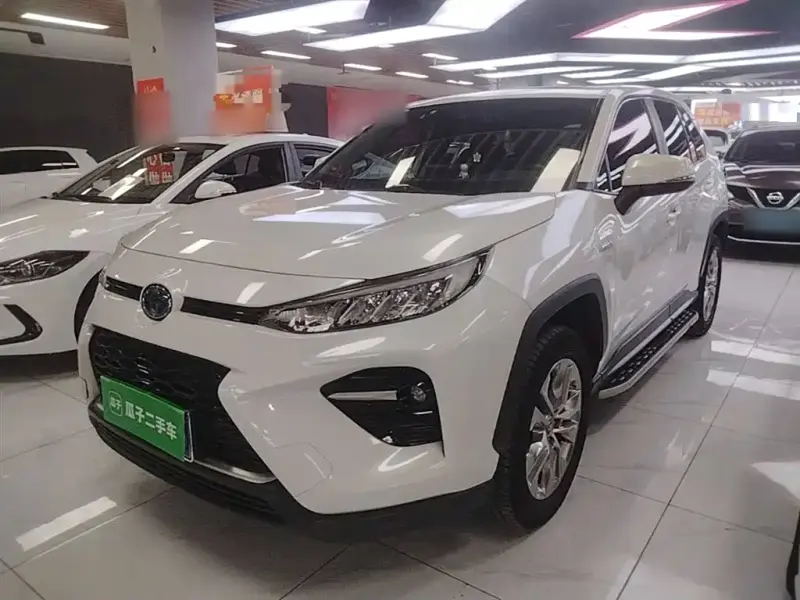Toyota Wildlander, 2020