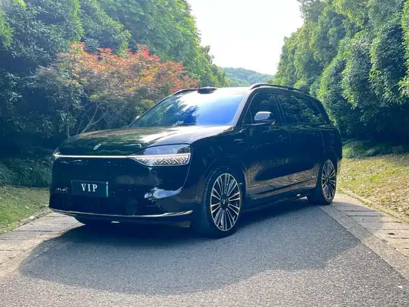 AITO M9, 2024