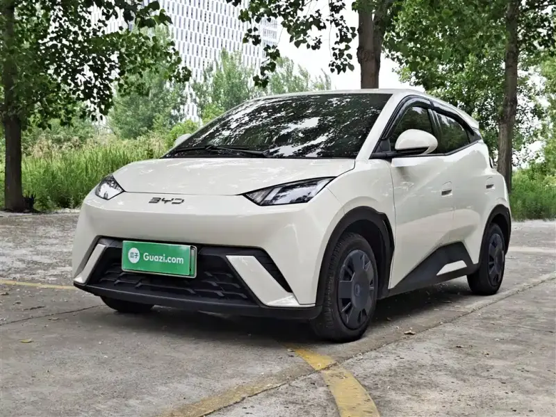 BYD Seagull, 2025