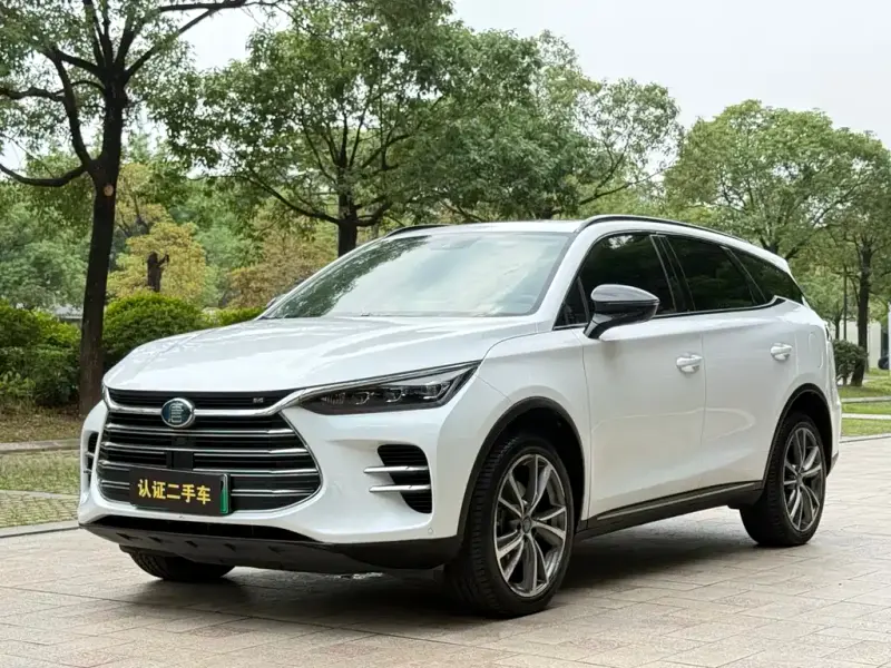 BYD Tang New Energy, 2020