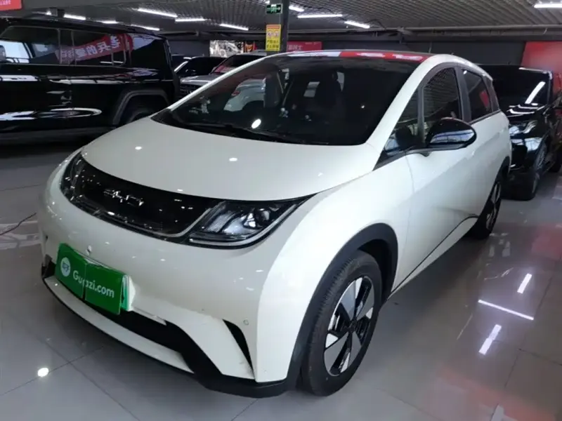 BYD Dolphin, 2024