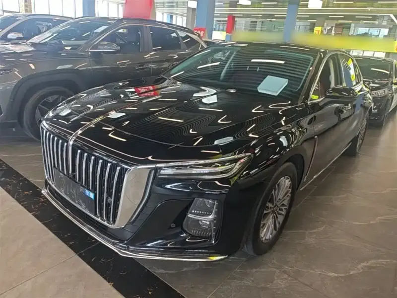 Hongqi H5, 2024