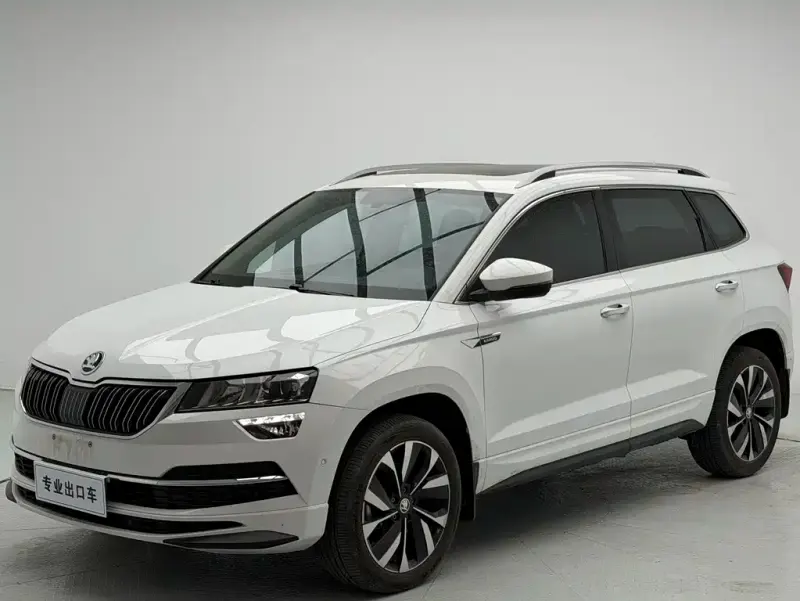 Skoda Karoq, 2024
