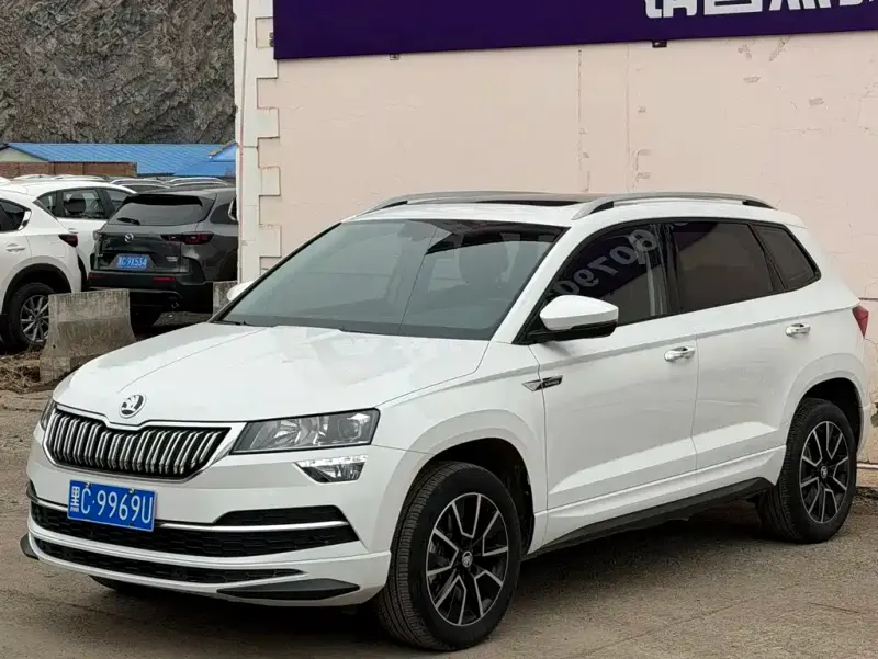 Skoda Karoq, 2024