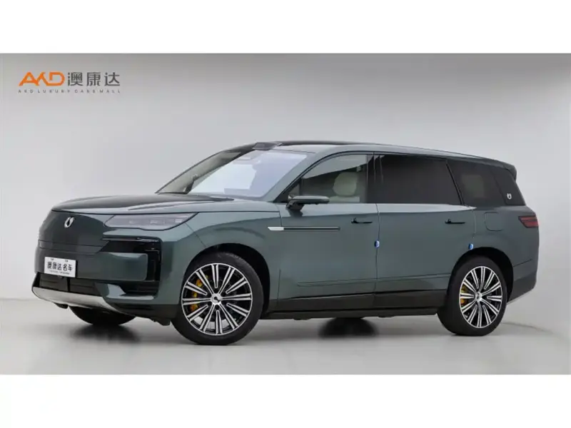 Denza N9, 2025