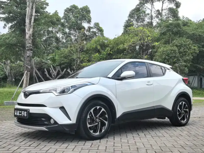 Toyota IZOA, 2019