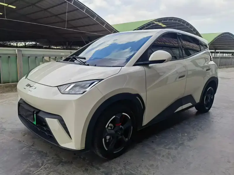 BYD Seagull, 2024