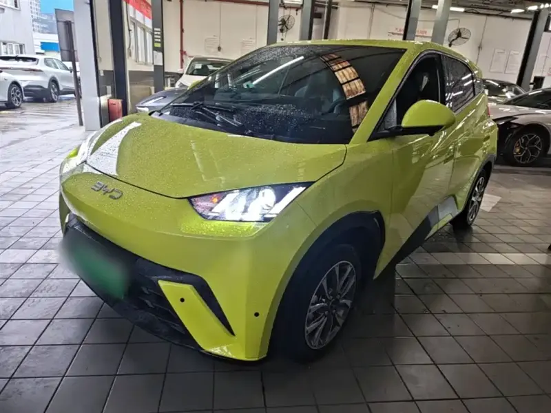 BYD Seagull, 2024