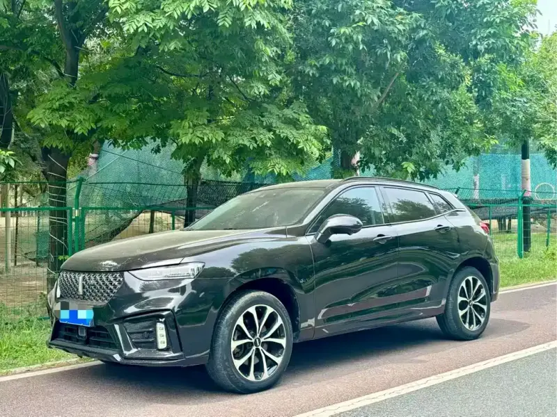 Wey VV7, 2019