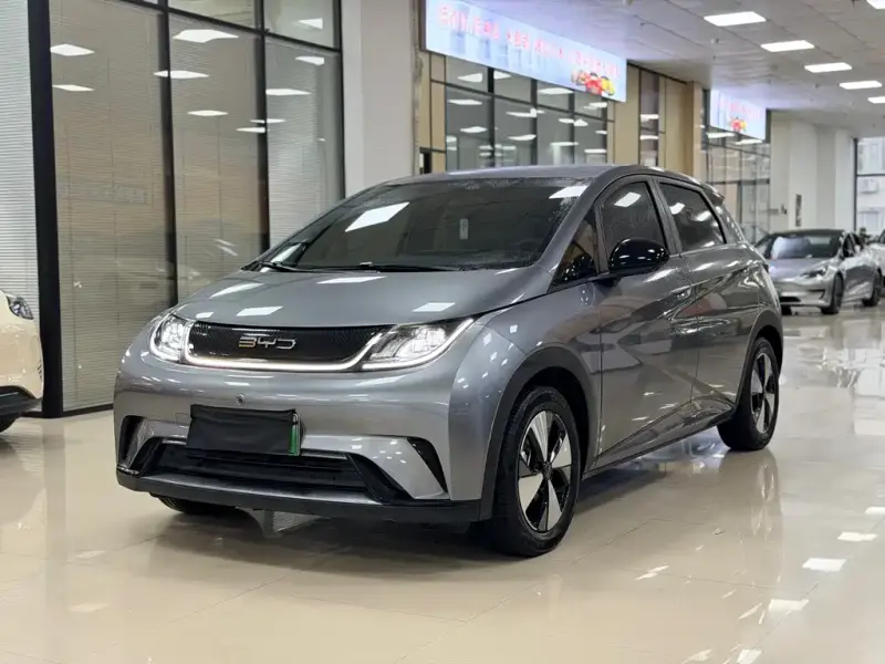 BYD Dolphin, 2024