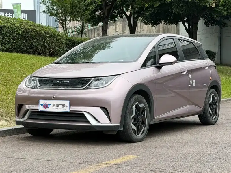 BYD Dolphin, 2022