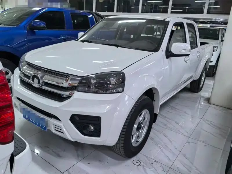 Great Wall Fengjun 5, 2023