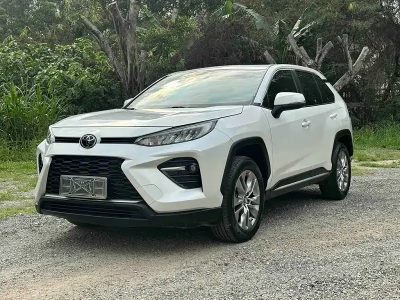 Toyota Wildlander, 2022