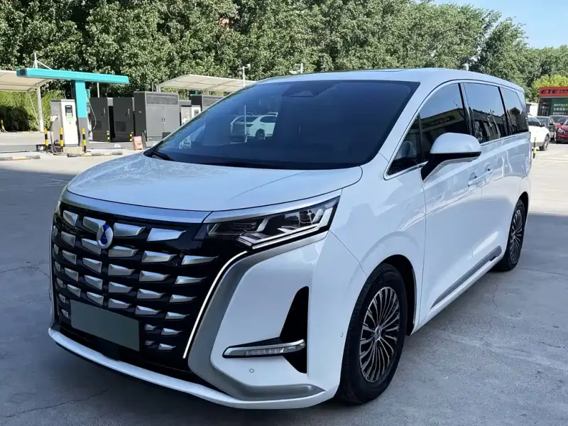 Denza D9, 2024