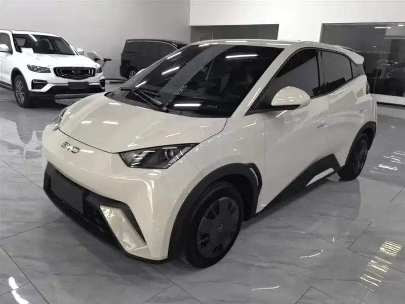 BYD Seagull, 2024