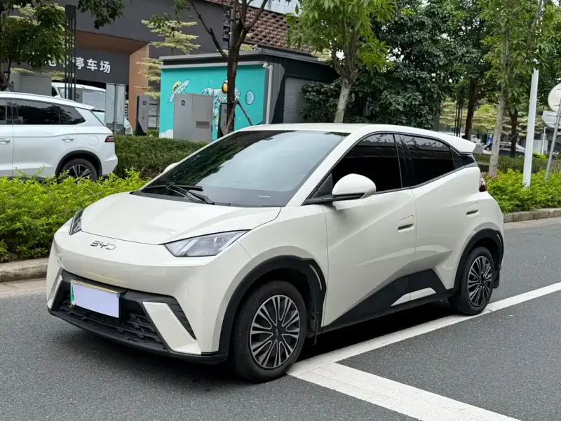 BYD Seagull, 2025