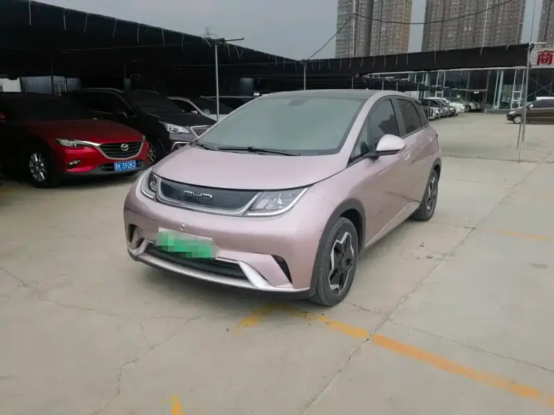 BYD Dolphin, 2023