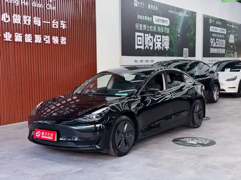 Tesla Model 3, 2023
