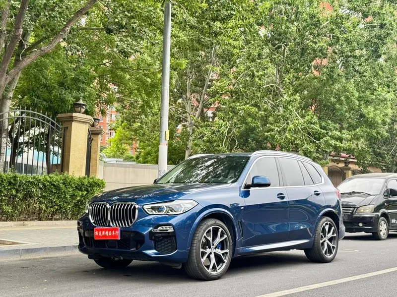 BMW X5 (Import), 2019