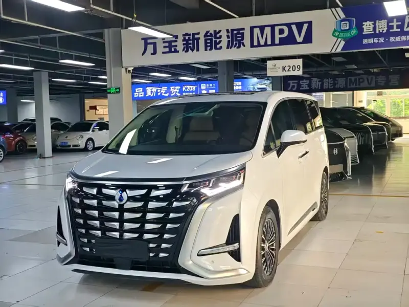 Denza D9, 2024