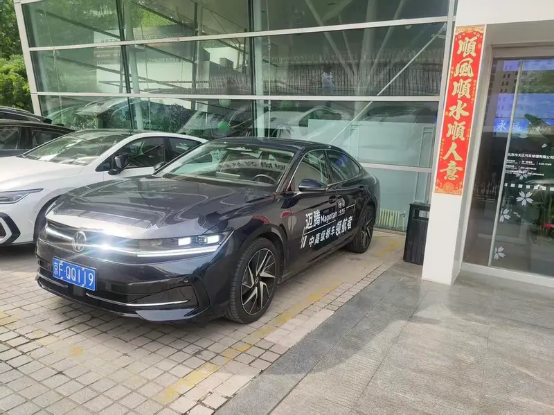 Volkswagen Magotan, 2024