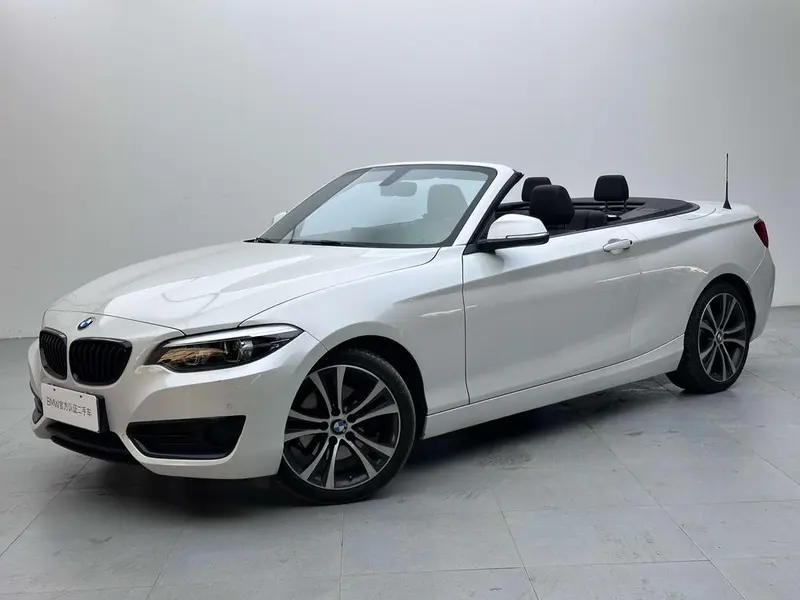 BMW 2-Series (Import), 2019