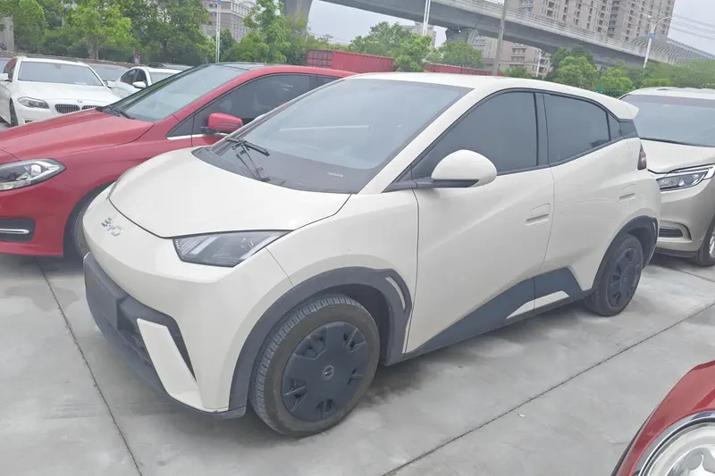 BYD Seagull, 2024
