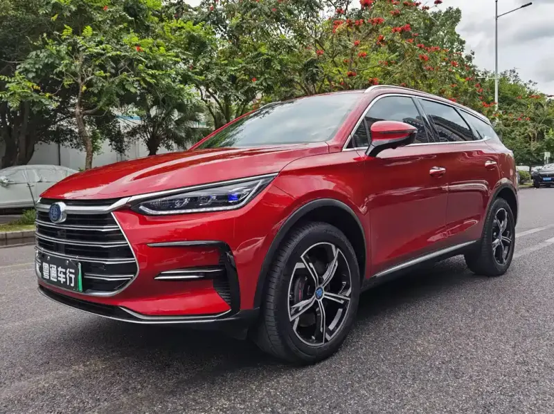 BYD Tang New Energy, 2021