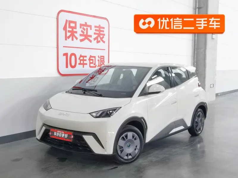 BYD Seagull, 2025