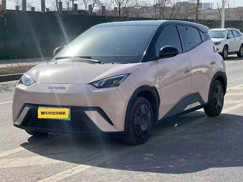 BYD Seagull, 2024