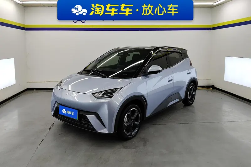 BYD Seagull, 2024