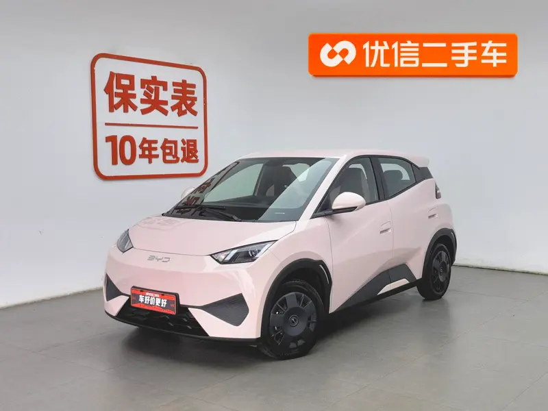 BYD Seagull, 2025